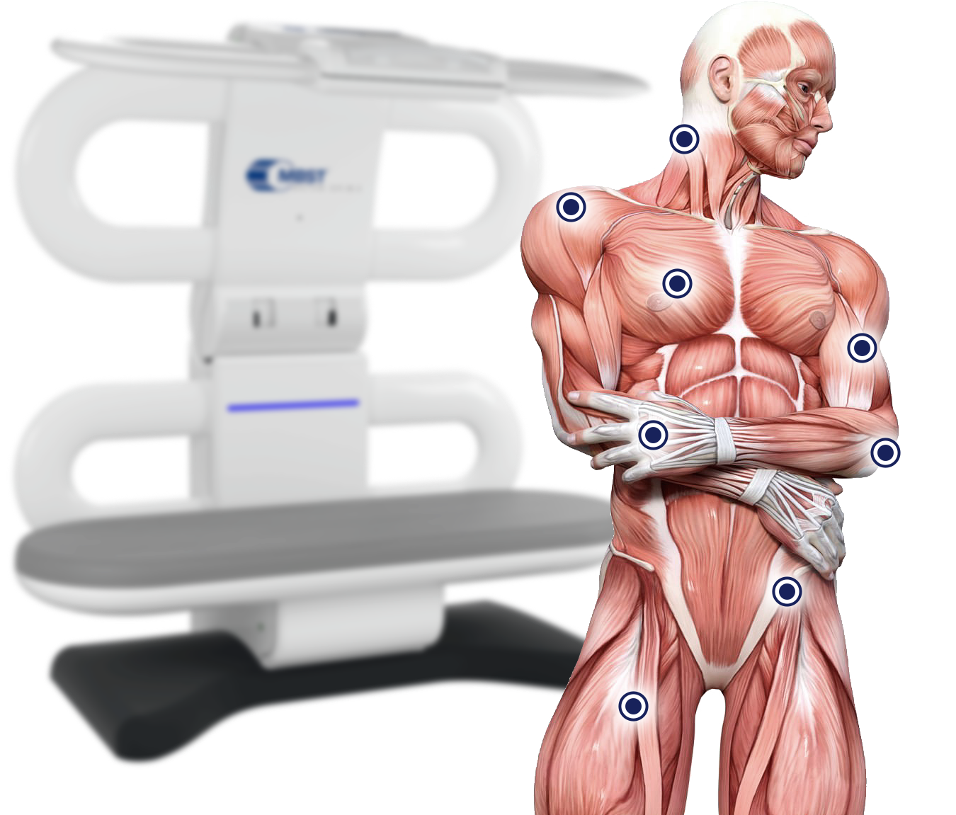 MBST® Become a Partner | Health Made in Germany